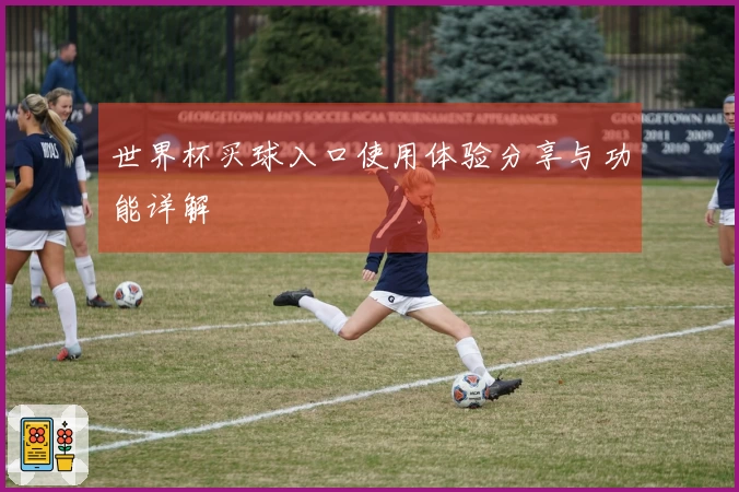 世界杯买球入口使用体验分享与功能详解