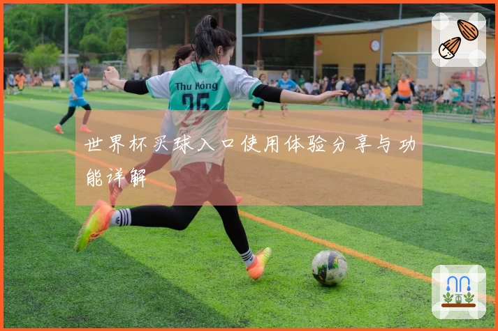 世界杯买球入口使用体验分享与功能详解