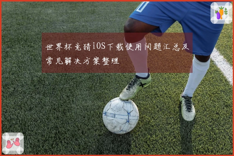 世界杯竞猜iOS下载使用问题汇总及常见解决方案整理