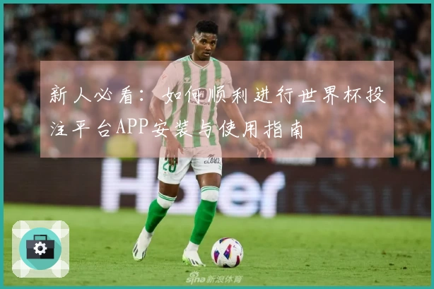 新人必看：如何顺利进行世界杯投注平台APP安装与使用指南