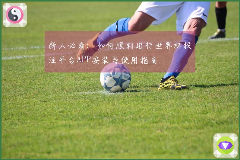 新人必看：如何顺利进行世界杯投注平台APP安装与使用指南